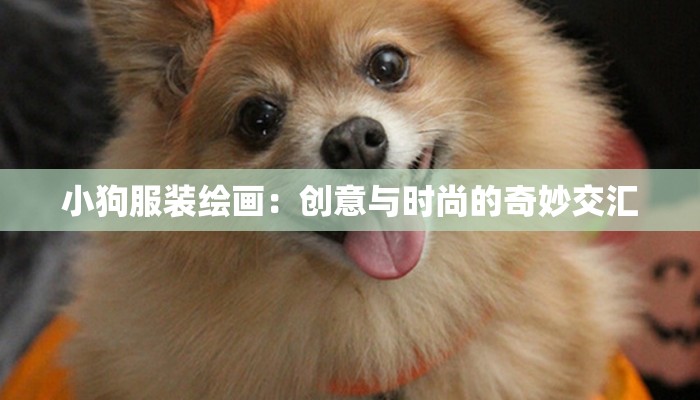 小狗服装绘画:创意与时尚的奇妙交汇