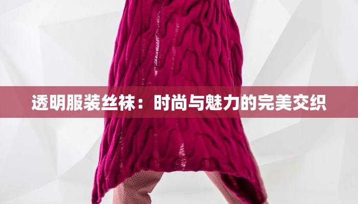 透明服装丝袜：时尚与魅力的完美交织