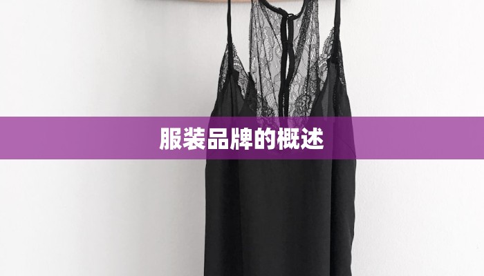 服装品牌的概述