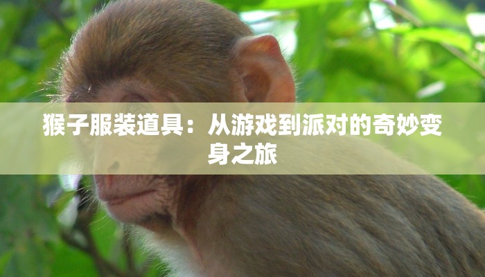 猴子服装道具：从游戏到派对的奇妙变身之旅