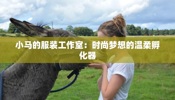 小马的服装工作室：时尚梦想的温柔孵化器