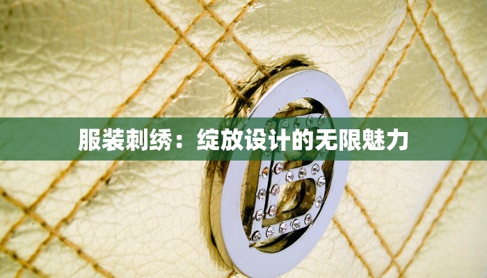 南仁博士服装：优雅与智慧的完美融合