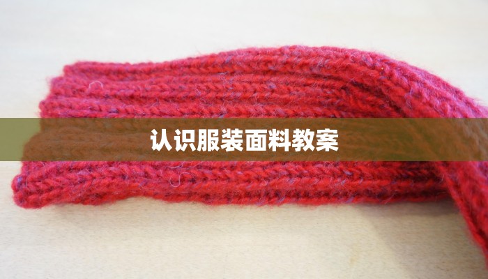 认识服装面料教案