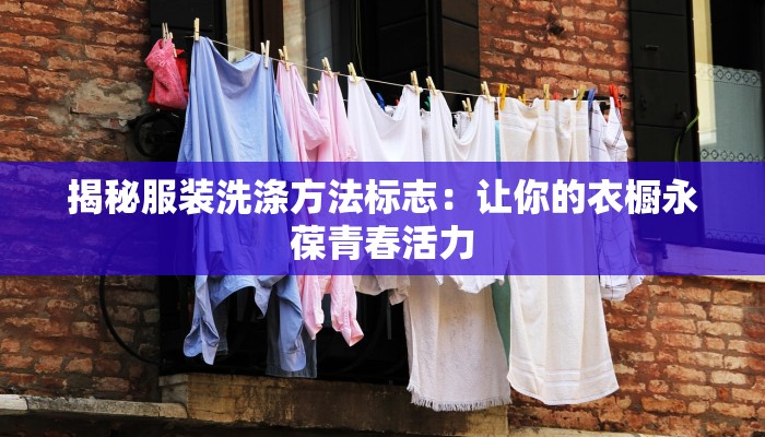 揭秘服装洗涤方法标志:让你的衣橱永葆青春活力