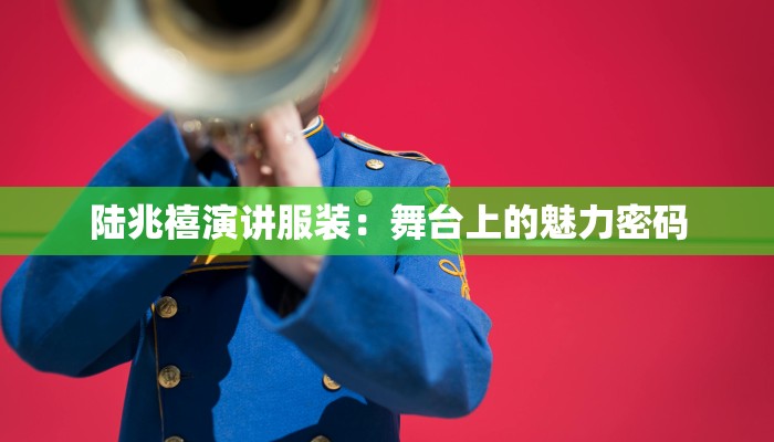 陆兆禧演讲服装:舞台上的魅力密码