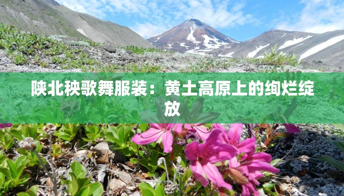 陕北秧歌舞服装：黄土高原上的绚烂绽放