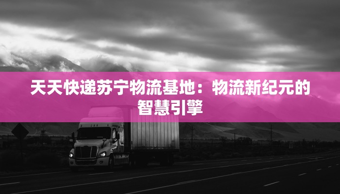 天天快递苏宁物流基地：物流新纪元的智慧引擎