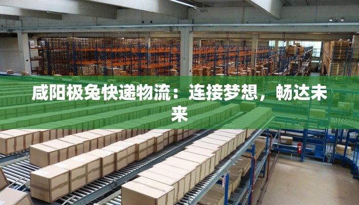 咸阳极兔快递物流：连接梦想，畅达未来