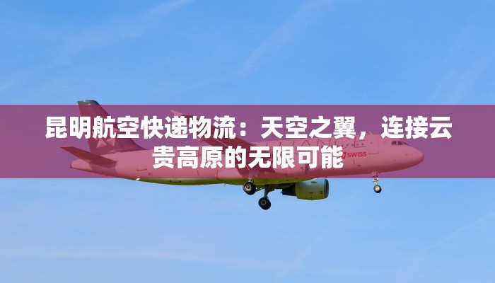 昆明航空快递物流:天空之翼,连接云贵高原的无限可能