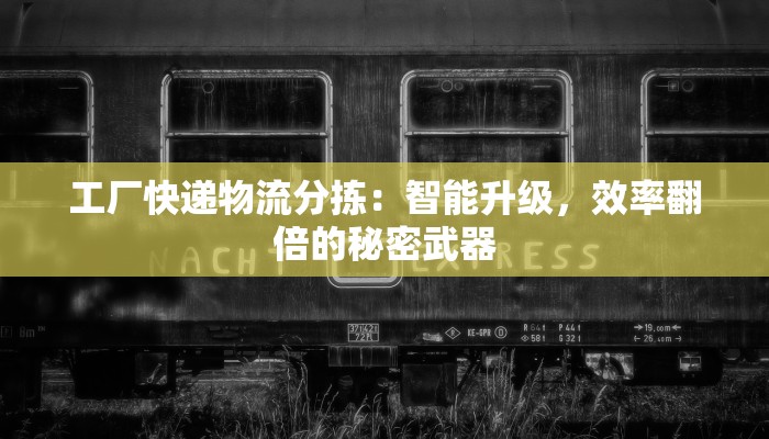 工厂快递物流分拣：智能升级，效率翻倍的秘密武器