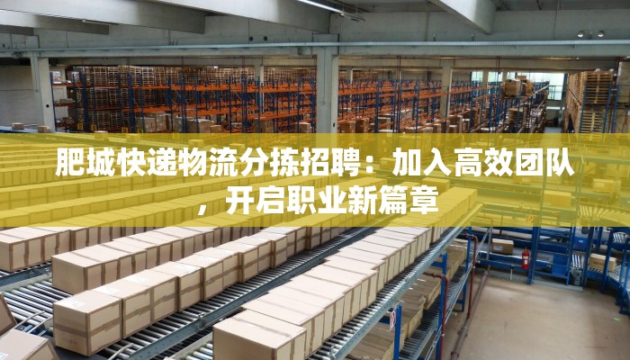 肥城快递物流分拣招聘：加入高效团队，开启职业新篇章