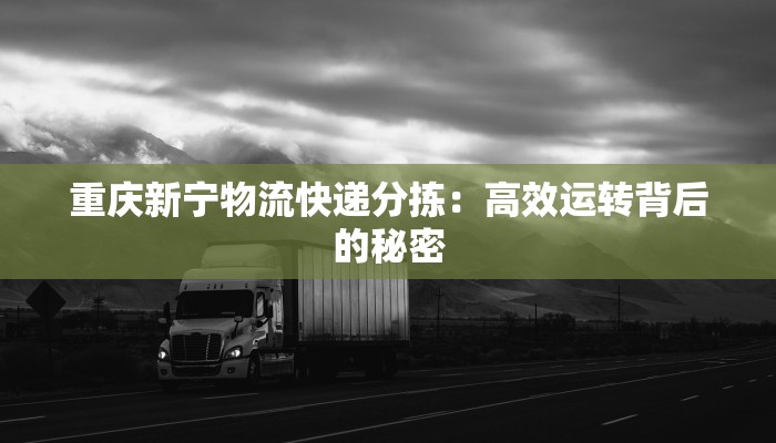 重庆新宁物流快递分拣：高效运转背后的秘密