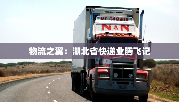 物流之翼：湖北省快递业腾飞记
