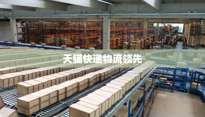 天猫快递物流领先