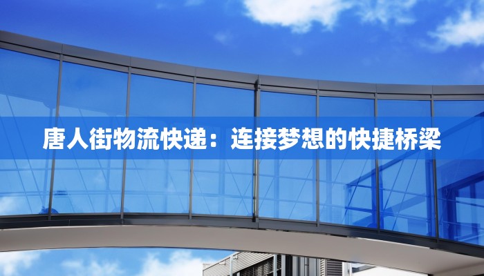 唐人街物流快递：连接梦想的快捷桥梁