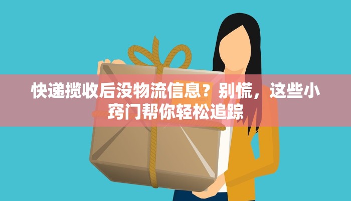 快递揽收后没物流信息？别慌，这些小窍门帮你轻松追踪