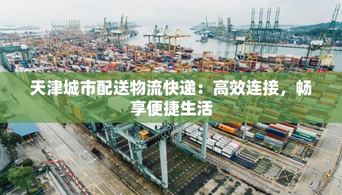 天津城市配送物流快递:高效连接,畅享便捷生活