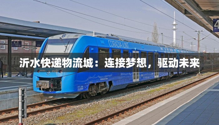 沂水快递物流城:连接梦想,驱动未来