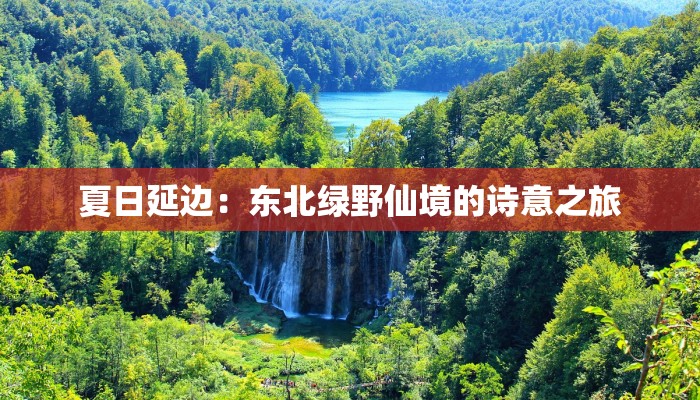 今日临清最新疫情