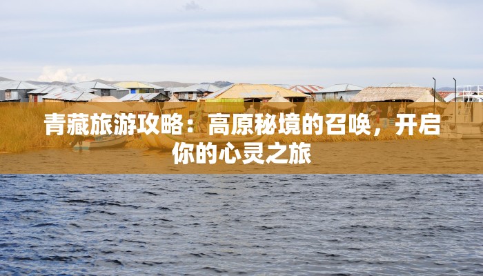 关于有趣的作文