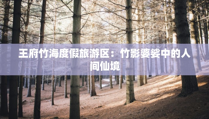 游览写景作文：山水间的心灵之旅