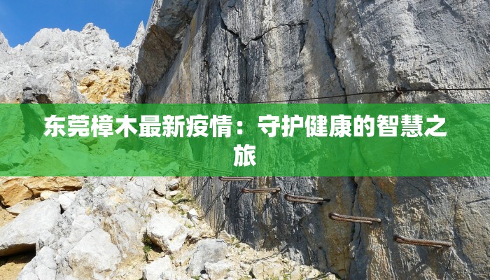 东莞樟木最新疫情:守护健康的智慧之旅