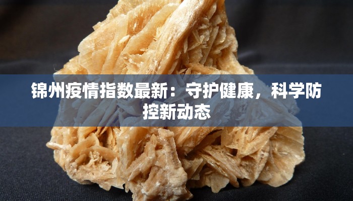 锦州疫情指数最新：守护健康，科学防控新动态