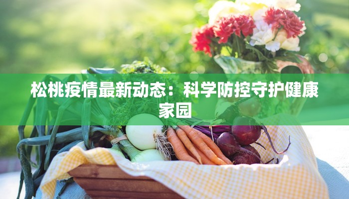 松桃疫情最新动态：科学防控守护健康家园