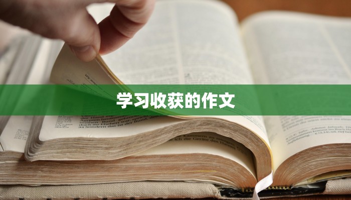 学习收获的作文
