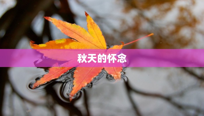 秋天的怀念