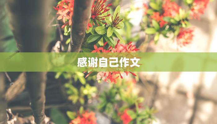感谢自己作文