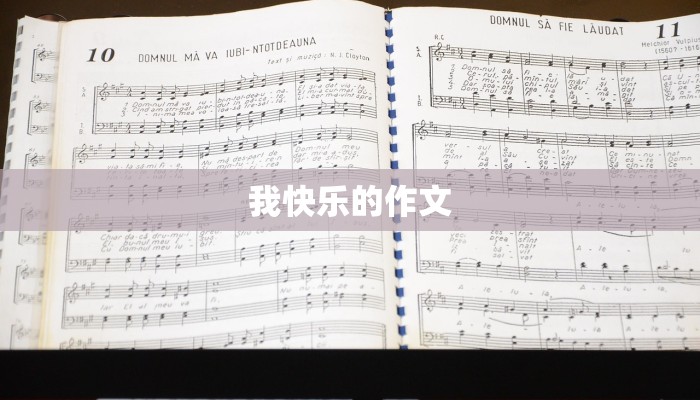 我快乐的作文