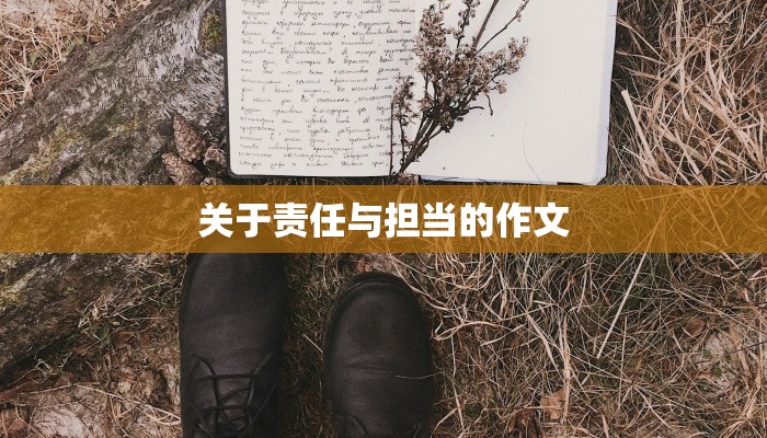 关于责任与担当的作文