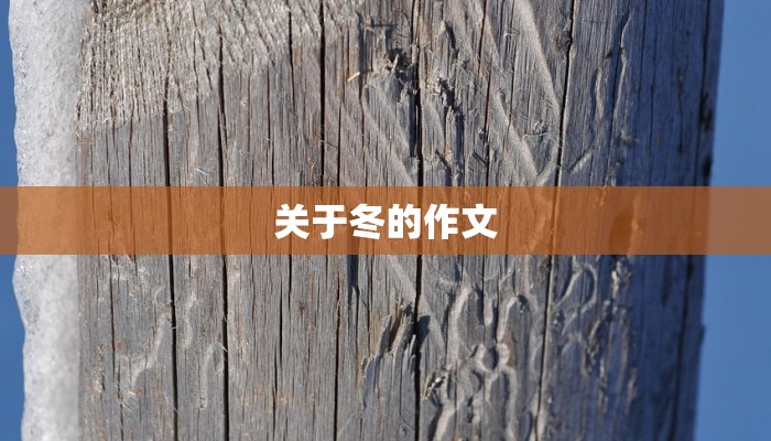 关于冬的作文