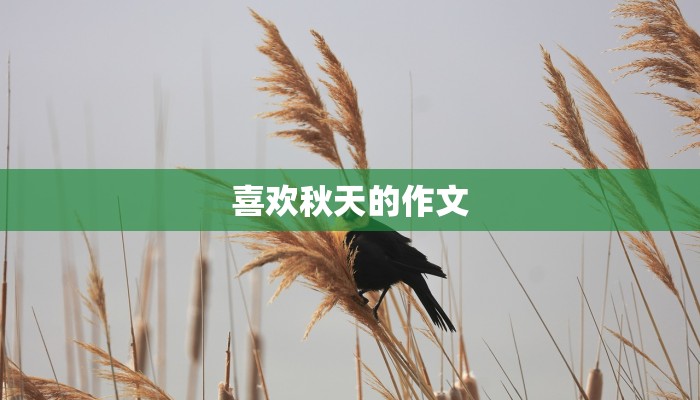 喜欢秋天的作文