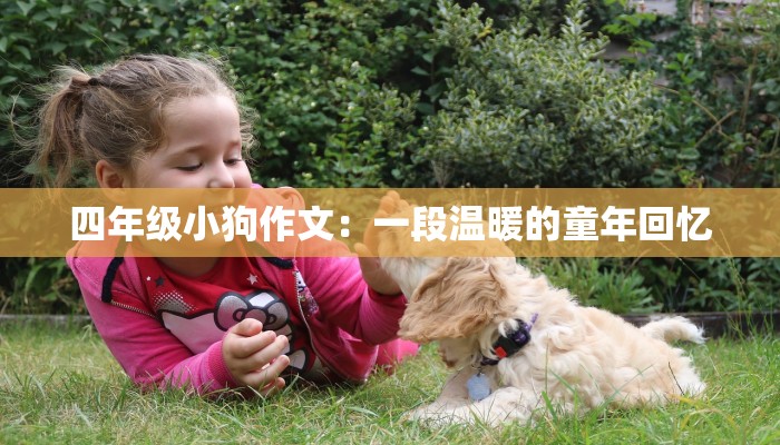 四年级小狗作文：一段温暖的童年回忆