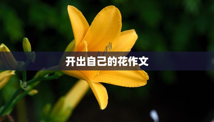 开出自己的花作文