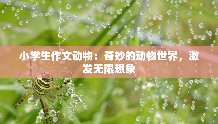 小学生作文动物:奇妙的动物世界,激发无限想象