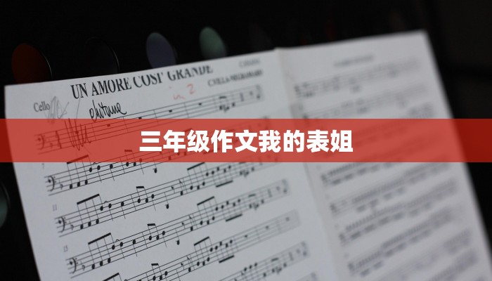 三年级作文我的表姐
