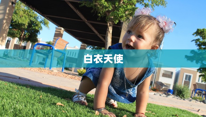 友情的作文题目：永恒的羁绊与温暖光芒