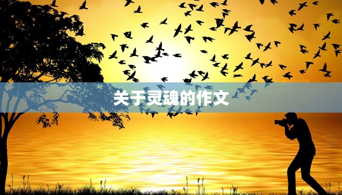 关于灵魂的作文