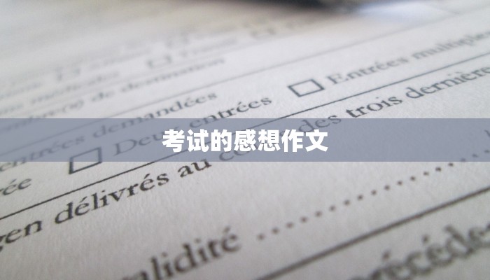 考试的感想作文