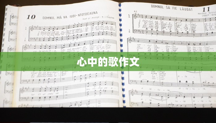 心中的歌作文