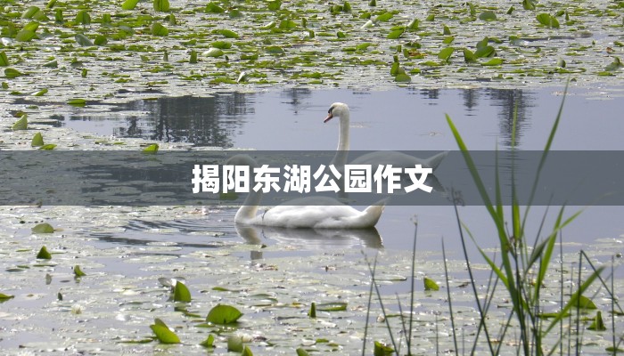揭阳东湖公园作文