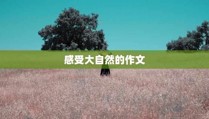 感受大自然的作文