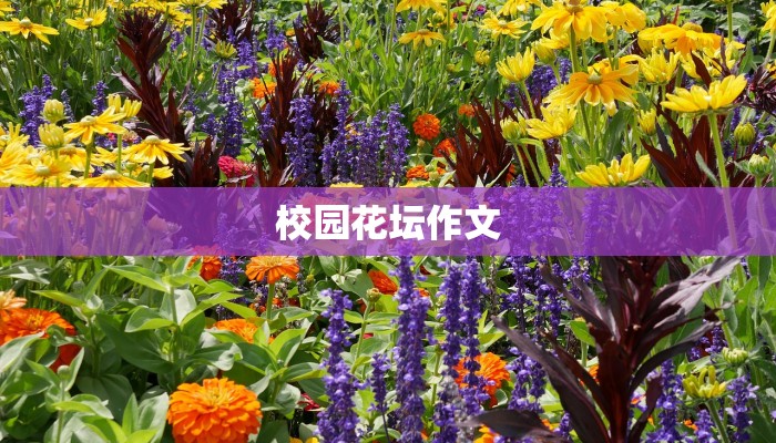 校园花坛作文