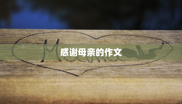 感谢母亲的作文
