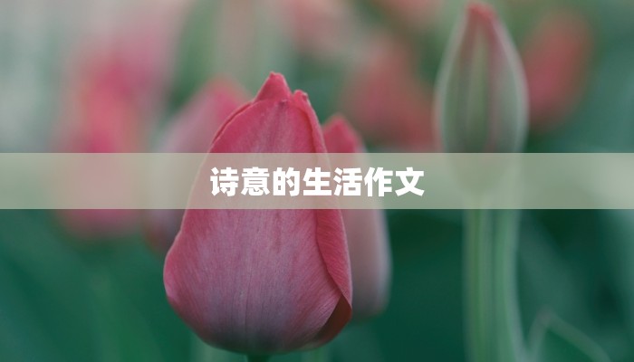 诗意的生活作文