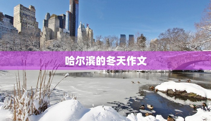 哈尔滨的冬天作文
