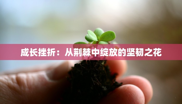 成长挫折：从荆棘中绽放的坚韧之花